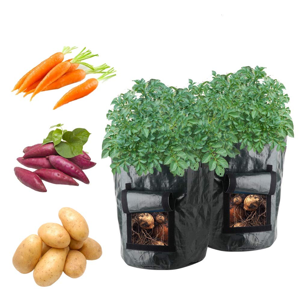 9 Best Potato Grow Bags Reviews (Our Best Selection For You) Best