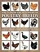 The Concise Encyclopedia of Poultry Breeds: An Illustrated Directory of over 100 Chickens, Ducks, Ge by 