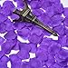 eBoot 1000 Pieces Silk Rose Petals Wedding Party Flower Favors (Purple)