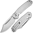 CJRB Bowie Pyrite Pocket Knife, Folding Knife with 3.15'' AR-RPM9 Steel Blade, Hunting Knife with Clip Steel Handle for EDC, Camping, Survival - Suitable for Men & Women J1942