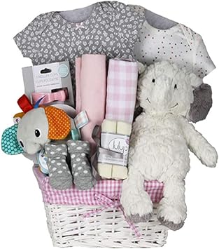 amazon new baby gift basket