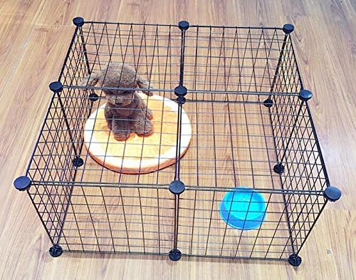 chihuahua playpen