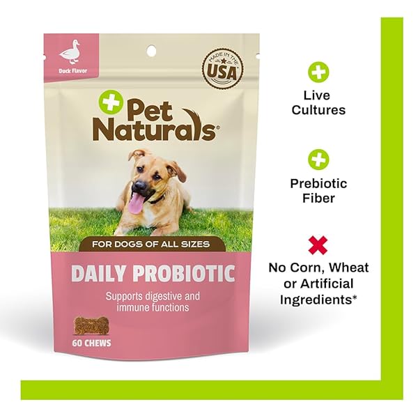 PET NATURALS DAILY PROBIOTIC FOR DOGS, 120M CFUS – PRE AND PROBIOTICS FOR DOGS DIGESTIVE HEALTH, GUT HEALTH, IMMUNE SUPPORT, DIARRHEA, ALLERGIES AND ITCHING – 60 CHEWS, DUCK FLAVOR