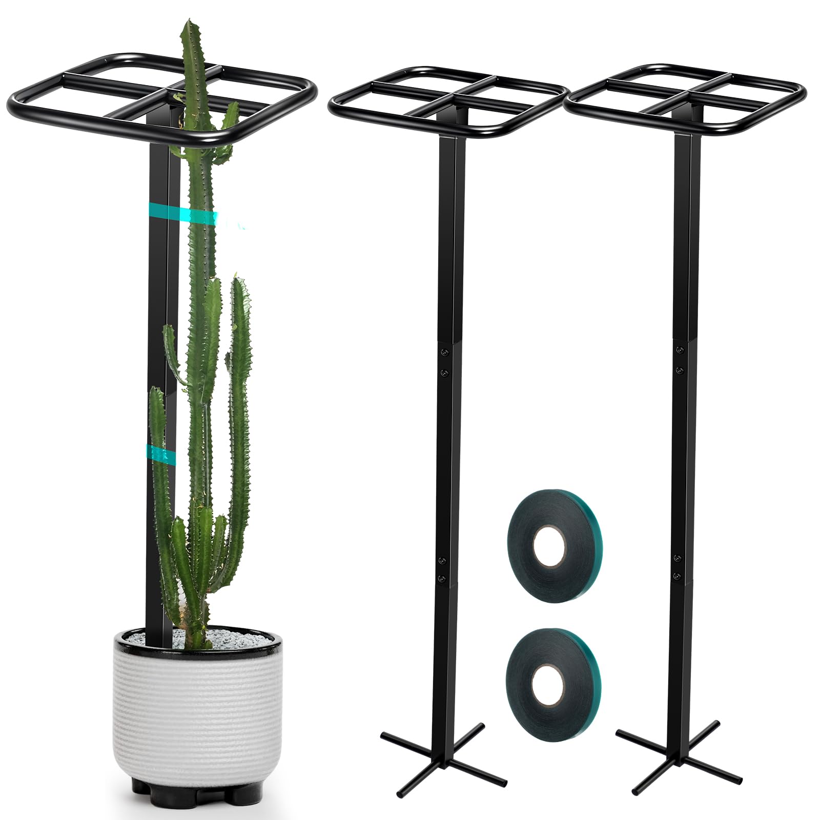 Photo 1 of MorningRo 2 Pack Dragon Fruit Trellis Adjustable Metal Garden Plant Climbing Support with Wide Stretch Ties for Outdoor Vertical Gardens Vining Plants(60 Inch)