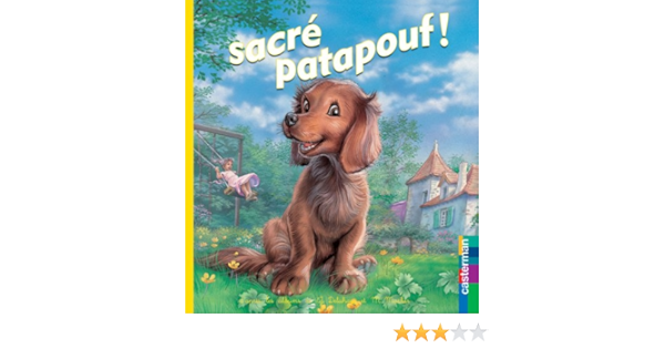 Sacre Patapouf Martine Livre Peluche Derives Marlier Delahaye 9782203004610 Amazon Com Books