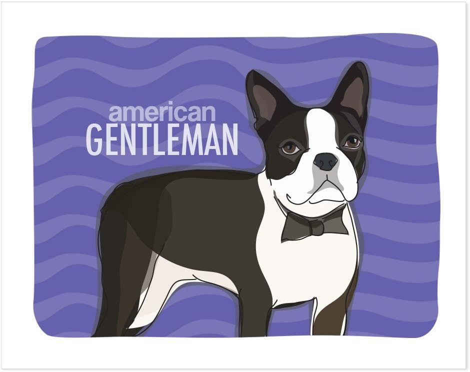boston terrier american gentleman