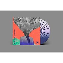 英LP Everything Everything Mountainhead 538996101 BMG /00260 Mountainhead: Everything Everything: Amazon.ca: Music
