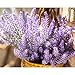 Unilove Artificial Lavender Bouquet Fake Lavender Bunch Purple Lavender Flowers Wedding Decor Decorations Faux Lavender Bundles (8 Bundles)
