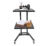 CNCEST 2-Tier Metal Rolling Cart, Foldable Salon