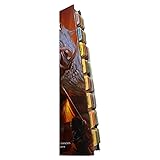 Book Tabs for The 2014 D&D Player’s Handbook