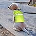 Vizpet Reflective Dog Vest with Lightweight Adjustable Strap & Comfortable Material Ideal to Keep Dogs Safe While Walking & Hunting