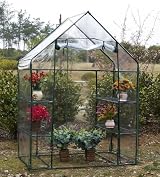 Taylor & Brown Walk In Greenhouse 4 Shelves PVC Cover 56x77 inches view 5