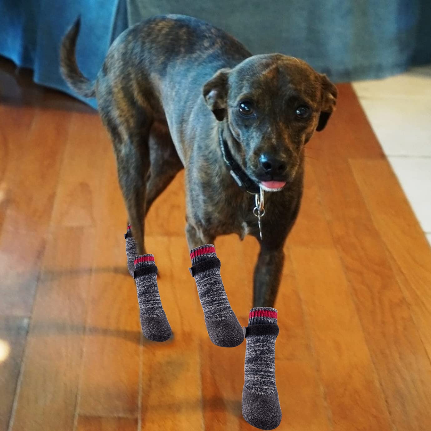 QUACOWW Pairs Dog Socks Anti-Slip Waterproof Rubber Bottom Dog Shoes  Rubber Sole Paw Protectors Boots with Adjustable Straps for Indoor Outdoor  Wear