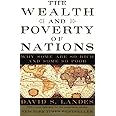 The Wealth and Poverty of Nations: Why Some Are So Rich and Some So Poor
