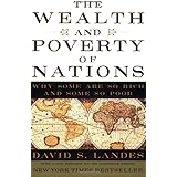 The Wealth and Poverty of Nations: Why Some Are So Rich and Some So Poor