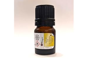 NEW MEXICO CLAY OG 801 - Bright Gold - 2 Gram Bottle