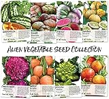 Alien Vegetable Seed Collection (8 Individual Seed Packets) Non-GMO Seeds by Seed Needs