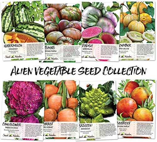 Alien Vegetable Seed Collection (8 Individual Seed Packets) Non-GMO Seeds by Seed Needs