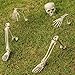Halloween Haunters Life Size Realistic Groundbreaker Skeleton Bones Prop Decoration - Scary Plastic Body Parts Skull, Hands, Feet, Arms, Legs with Lawn Stakes - Graveyard Tombstone Haunted Grave