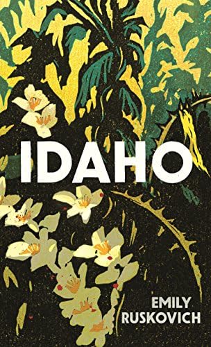 Idaho Hardcover – 16 Feb 2017