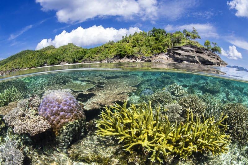 PLANET ERDE III - bekannt auch als ZDF-Reihe "Unsere Erde III" [Blu-ray] 8