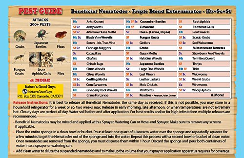 1 NaturesGoodGuys+Million+Live+Beneficial+Nematodes