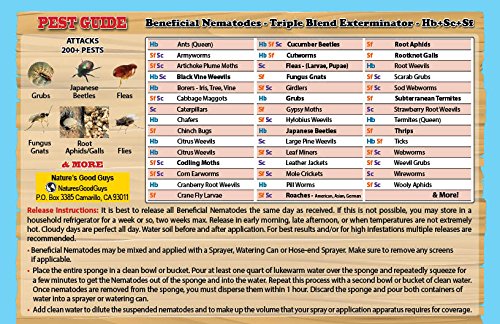 NaturesGoodGuys 30 Million Live Beneficial Nematodes Hb+Sc+Sf - //coolthings.us