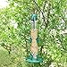 Twinkle Star Classic Wild Bird Feeder Tube Feeder with 6 Feeding Ports, Green