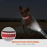 Taglory Reflective Nylon Dog Collar XS Pink Safety Buckle Neoprene Padding view 5
