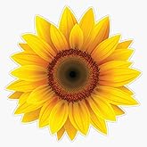 WSQ Cool Sunflower Vinyl Decal Sticker Premium Quality Vinyl Multiple Colors for Car Bumper Truck Van SUV Window Wall Boat Cup Tumblers Laptop or Any Smooth Surface Size 5 Inch