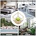 HOMEIDEAS Modern Gloden Geometric Terrarium Metal Faceted Tabletop Succulent Plants Holder Glass Air Plant Holder(Golden), Gift Mother's Day