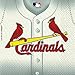 St. Louis Cardinals Luncheon Napkins - 6.5