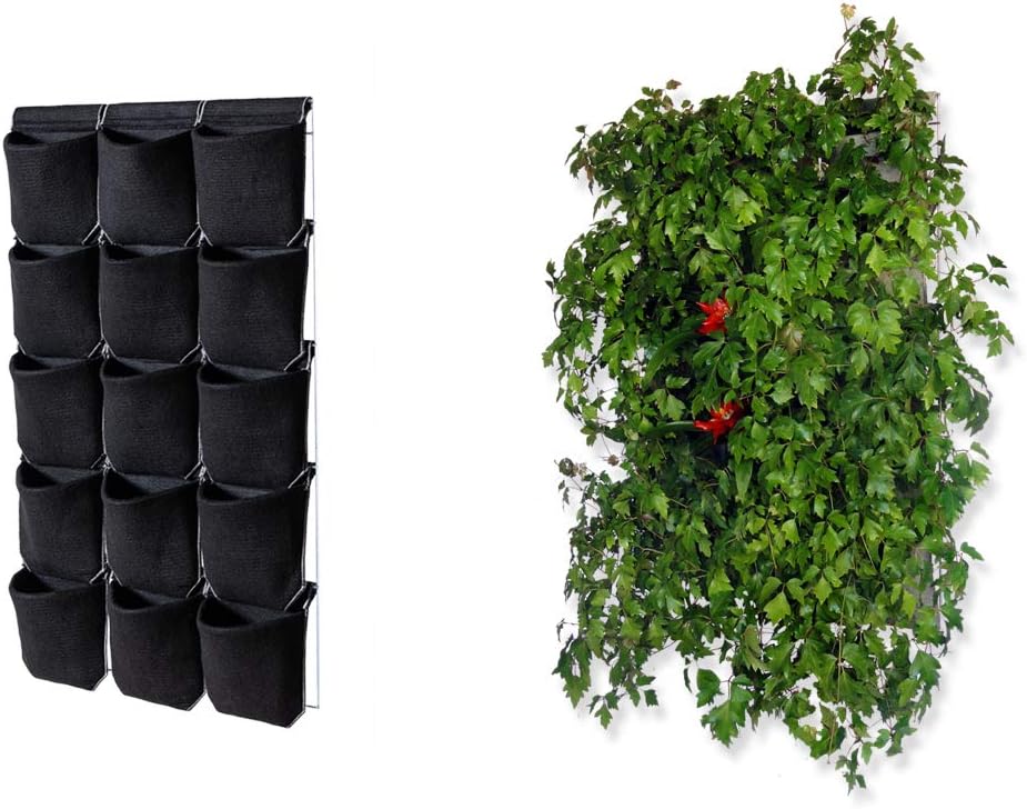 Jardín Vertical: Amazon.es: Jardín