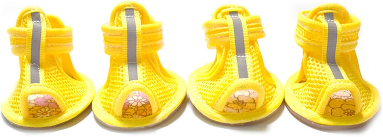 yellow dog shoes