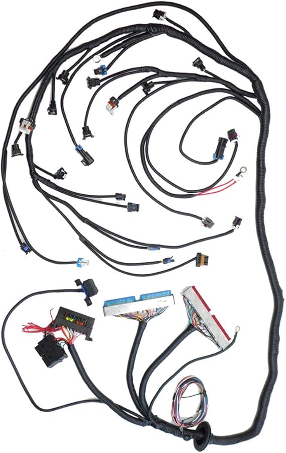Amazon.com: LS1 LSX Swap Standalone Wiring Harness with T56 or Non