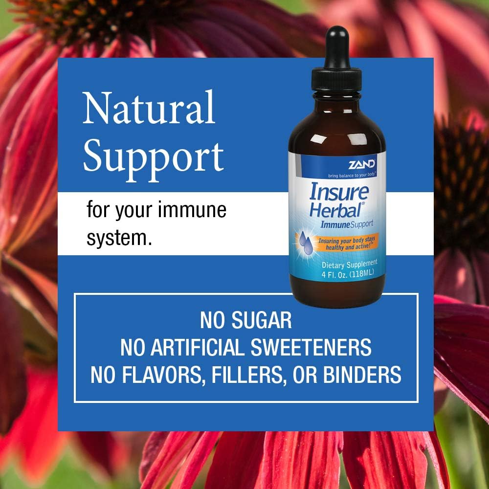 Zand Insure Immune Support | Herbal Liquid Echinacea Supplement | Features Elderberry, Chamomile, Ginger & Valerian | 4 oz: Health & Personal Care