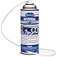 Eastwood High Temperature Internal Exhaust Coating with Extension Nozzle