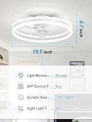 JOFIOS Ceiling Fans with Lights,19.7" Flush Mount