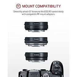 Canon EOS R7 Mirrorless Camera (Body Only), Hybrid