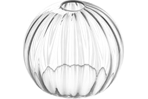 ANYLOVE Clear Glass Shade,Replacement Globe & Cover for Lighting Fixture, 8" Diameter, Replacement with 1.65 Inch Fitter for Wall Lamps Chandeliers or Ceiling Light (2, 8Inch - Clear Glass)