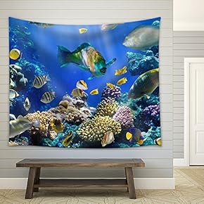 Coral and Fish in The Red Sea Egypt - Fabric Wall Tapestry Home Decor - 51x60 inches