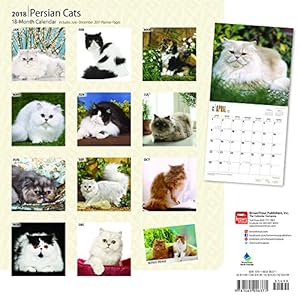 Persian Cats 2018 12 x 12 Inch Monthly Square Wall Calendar, Pet Companion Animal Feline Meow (Multilingual Edition)