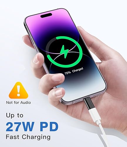 Usb C To Lightning Apple Iphone Se Charger Adapter Iphone Se Fast