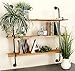 Deco 79 Wood Wall Shelf with Metal Brackets, 38