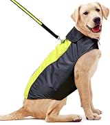 YFbrite Waterproof Dog Coat Lightweight Raincoat Adjustable Velcro Green Large view 7