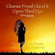 Cleanse Pineal Gland & Open Third Eye: Native Flute & Drums (Solfeggio 852 & 963 Hz)
