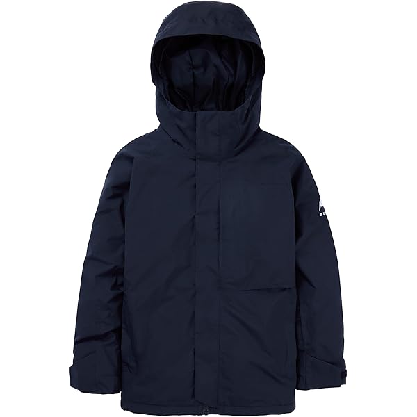 Amazon.com: Burton AK 2L Gore-TEX Cyclic Jacket 2024 - Small