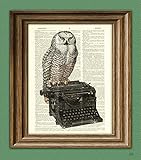 The Writer's Muse Owl on a Typewriter print over an upcycled vintage dictionary page book art