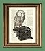 The Writer's Muse Owl on a Typewriter print over an upcycled vintage dictionary page book art