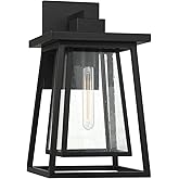 Savoy House 5-2022-BK Denver 1-Light Outdoor Wall Lantern in Matte Black (10" W x 18" H)